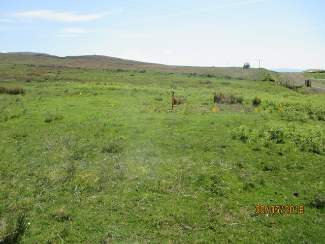 MHG61118_02.JPG