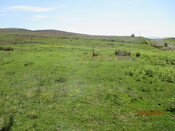 MHG61118_02.JPG