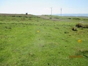 MHG61118_03.JPG