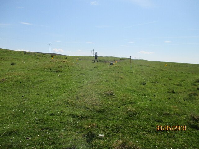 MHG61121_02.JPG