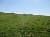 MHG61121_02.JPG