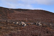 MHG61218_02.JPG