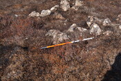 MHG61218_03.JPG
