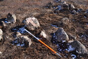 MHG61218_04.JPG