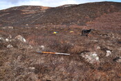 MHG61218_05.JPG