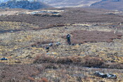 MHG61218_06.JPG