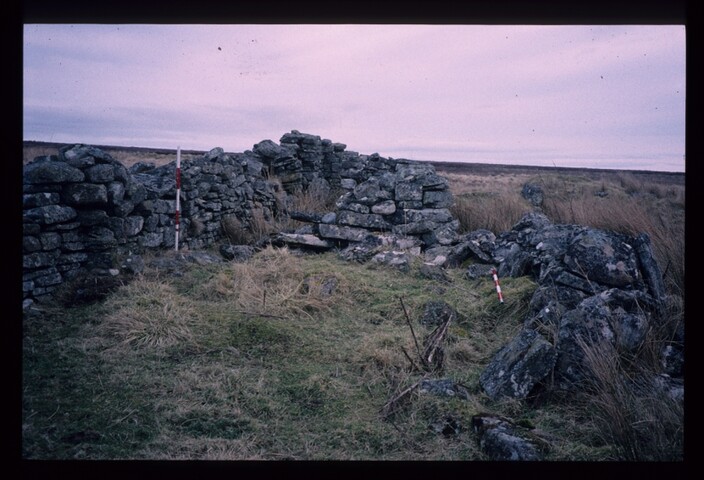 8253.jpg