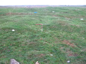 EHG5327_153.JPG