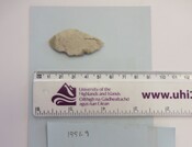 1991.9 Bandarsaig leaf-shaped arrowhead (1).jpg