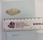 1991.9 Bandarsaig leaf-shaped arrowhead (2).jpg