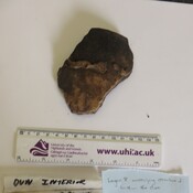 1990.10_Tungadale sherd within Structure 1.jpg