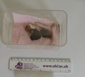 1990.10_Tungadale sherds.jpg