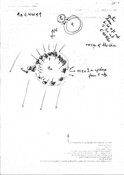 MHG61340_plan_02.jpg
