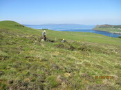 MHG61341_01.JPG
