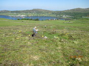 MHG61341_02.JPG
