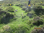 MHG61341_03.JPG