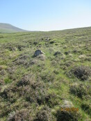 MHG61341_04.JPG