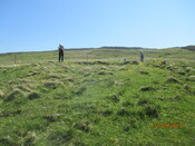 MHG61342_02.JPG