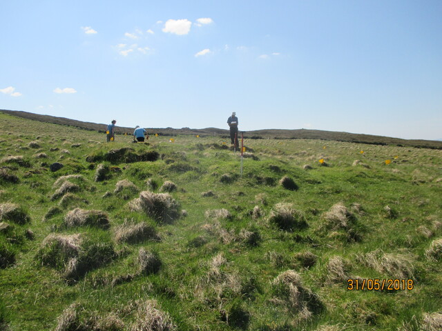MHG61342_03.JPG