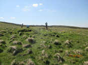 MHG61342_03.JPG