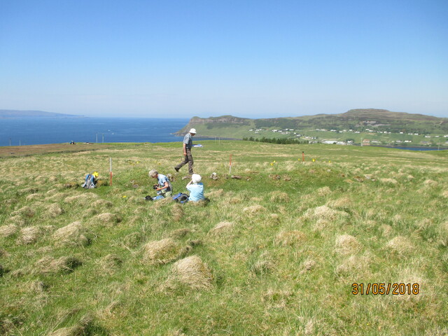 MHG61342_04.JPG