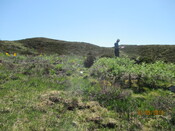 MHG61344_01.JPG