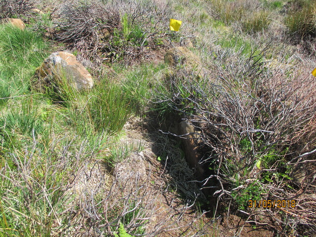 MHG61344_02.JPG