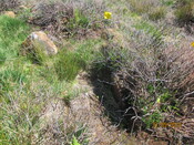 MHG61344_02.JPG
