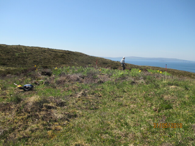 MHG61344_03.JPG
