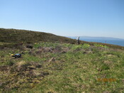 MHG61344_03.JPG