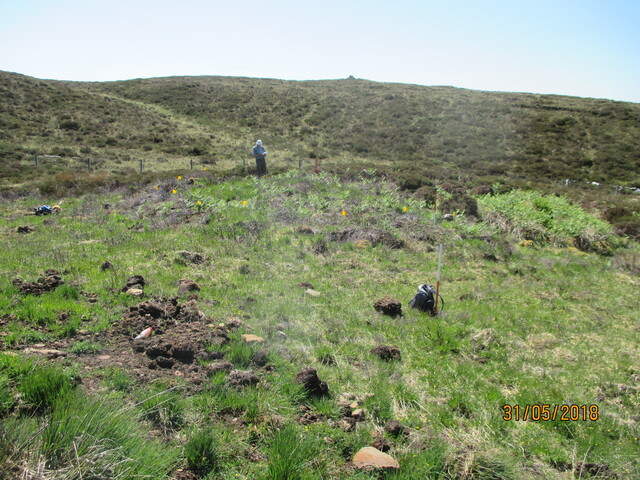 MHG61344_04.JPG