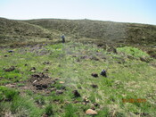 MHG61344_04.JPG