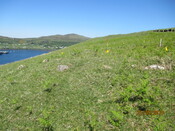 JAN071 overview from NE IMG_0032.JPG