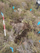 MHG61350_04.JPG