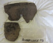 1993.6_Achnacloich 1993, site C..jpg