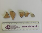 1993.1_Torrin excavation sherds.jpg