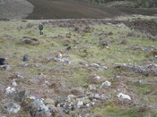 MHG61452_01.JPG