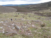 MHG61452_03.JPG