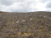 MHG61453_01.JPG