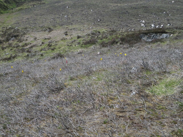 MHG61453_03.JPG