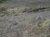 MHG61453_03.JPG