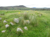 MHG61534_01.JPG