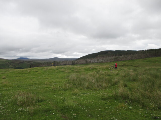 MHG61534_02.JPG