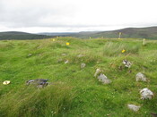 MHG61534_03.JPG