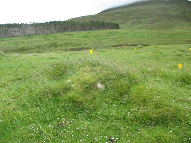 MHG61539_01.JPG