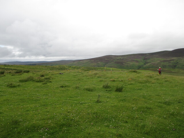 MHG61539_02.JPG