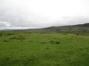 MHG61539_02.JPG