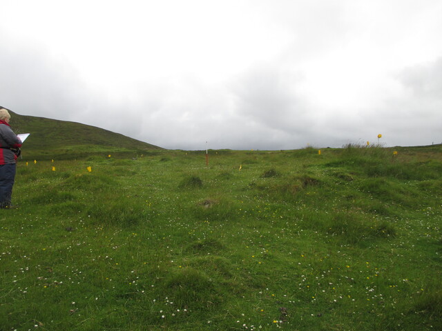 MHG61539_03.JPG