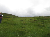 MHG61539_03.JPG