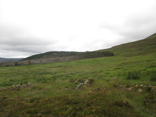MHG61620_01.JPG